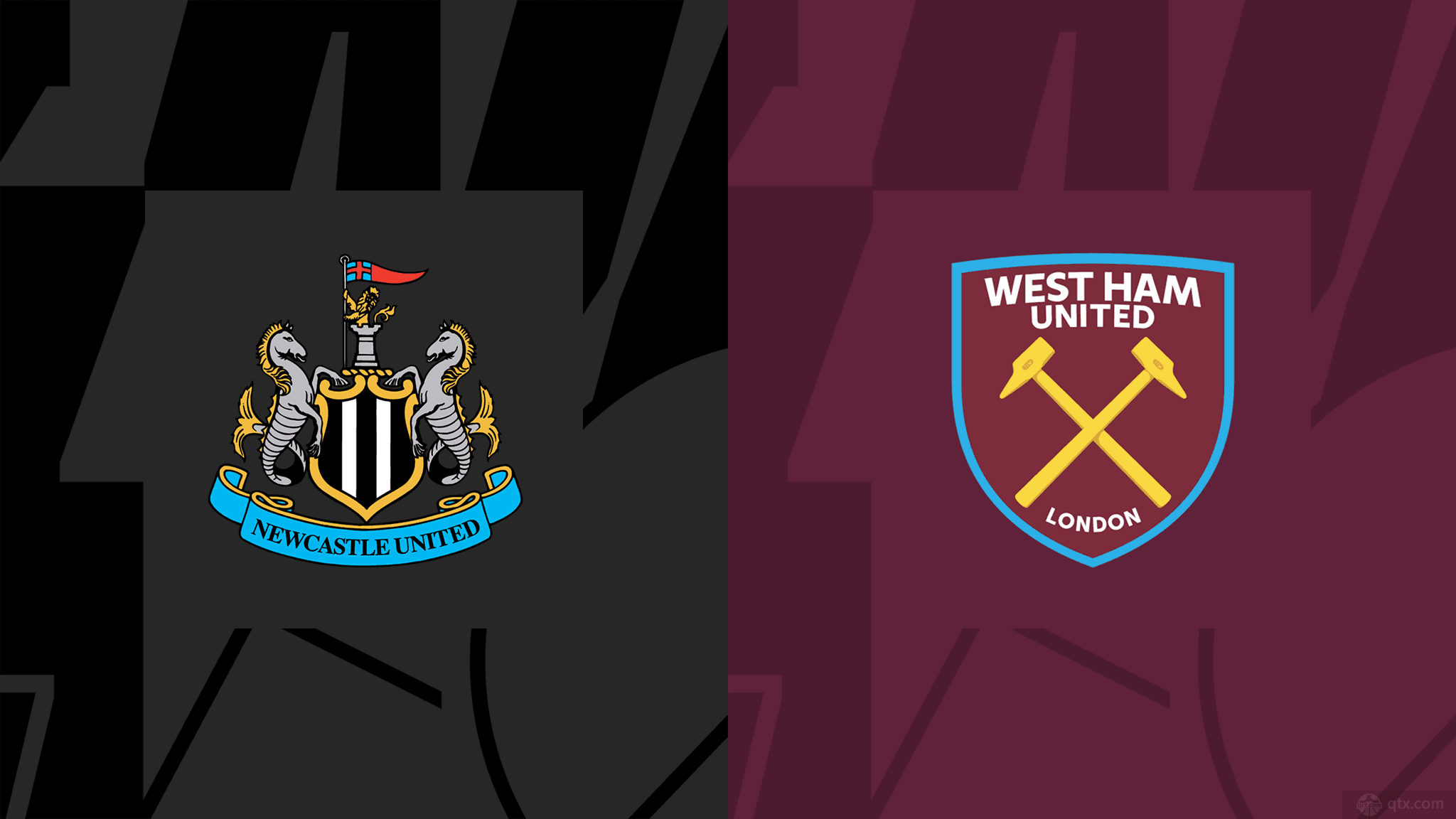 供了新的视 供了新的视