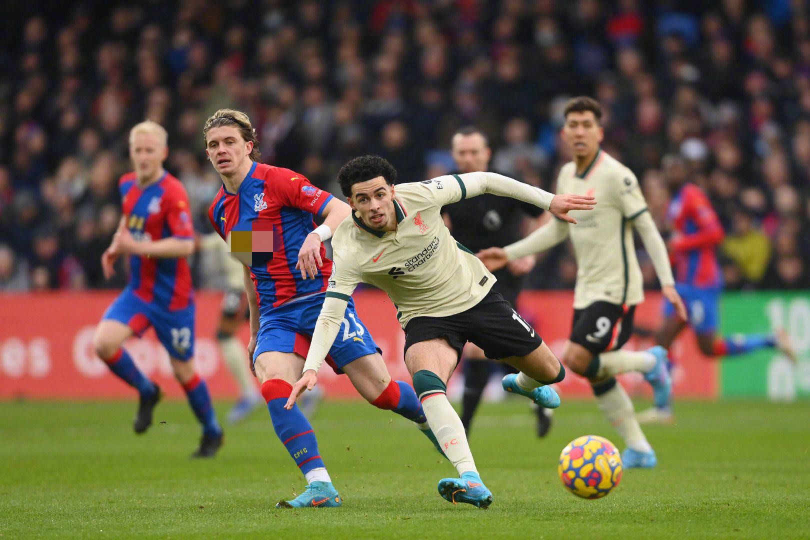 并不仅仅是 并不仅仅是